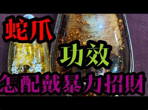 蛇爪禁忌|带蛇首饰有啥讲究 (什么人不能带蛇的饰品)